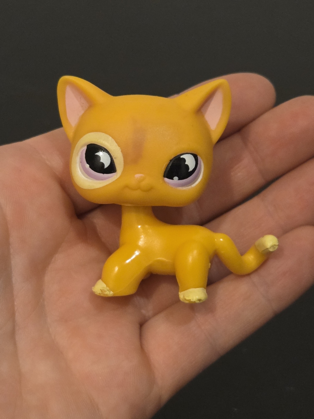 LPS Littlest Pet Shop Shorthair Orange Cat #855
